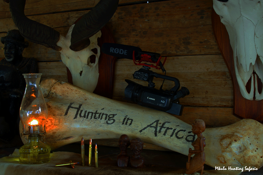 Gallery of African hunting safari images