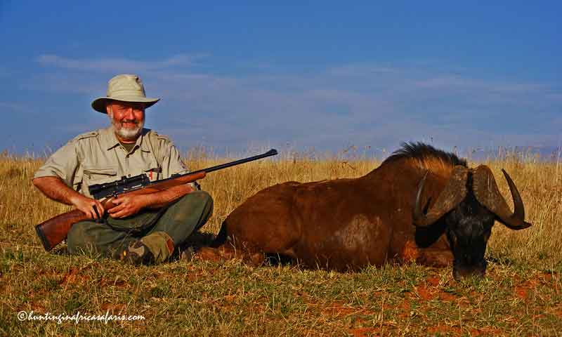 Black wildebeest hunting calibers South Africa