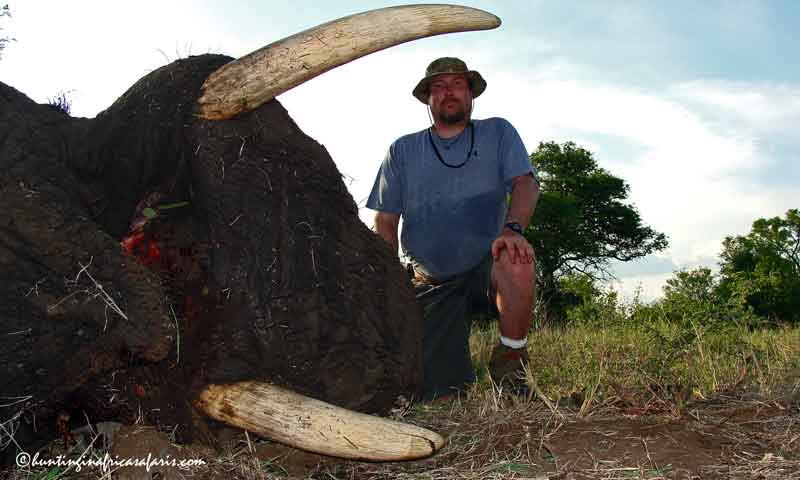 416 Rigby for hunting elephants in South Africa