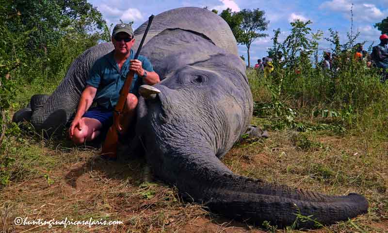 458 Lott for hunting elephants in South Africa