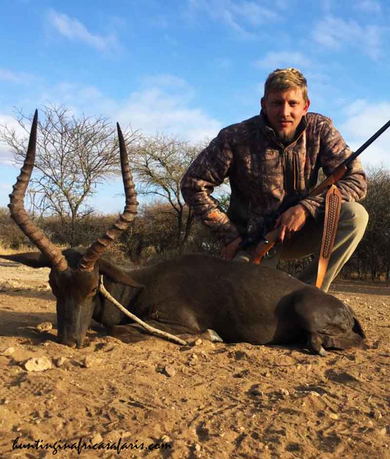 Best black impala hunting calibers Successful American hunter posing with a trophy black impala ram in South Africa