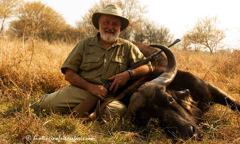 Cape buffalo cow hunting calibers Cape buffalo cow hunting calibers