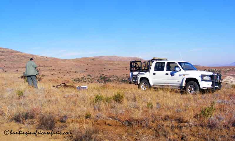 Eastern Free State mountain hunting South Africa Eastern Free State mountain hunting South Africa