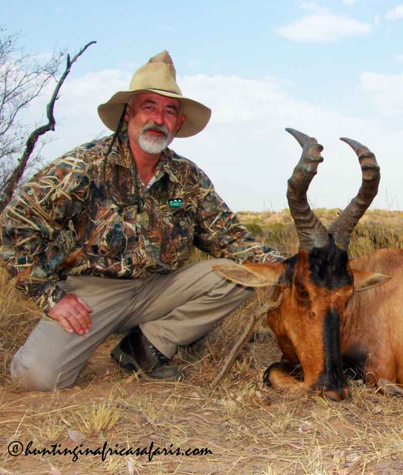 Hunting red hartebeest South Africa Hunting red hartebeest South Africa