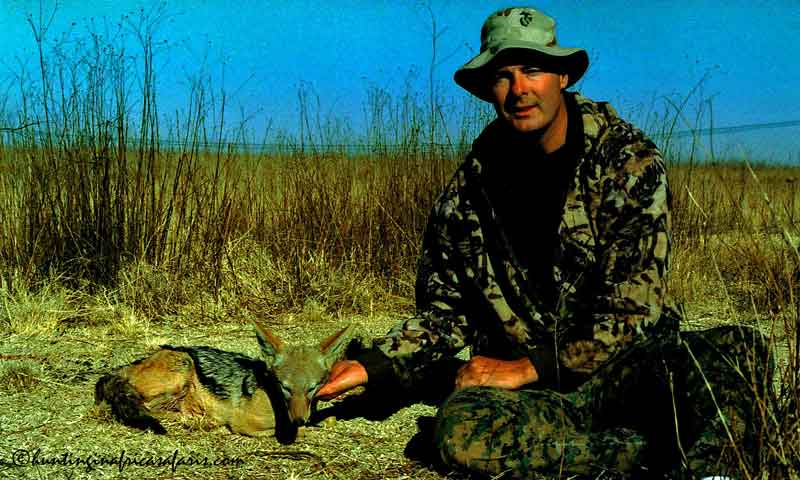Jackal hunting prices South Africa with the best jackal hunting company Jackal hunting prices South Africa with the best jackal hunting company
