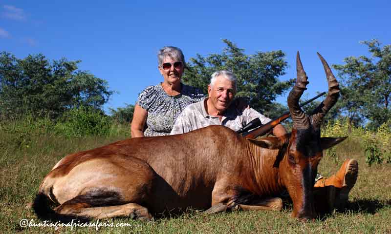 Red hartebeest hunting calibers South Africa Red hartebeest hunting calibers South Africa
