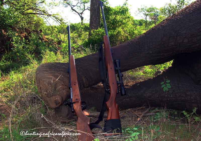 Best elephant hunting calibers South Africa