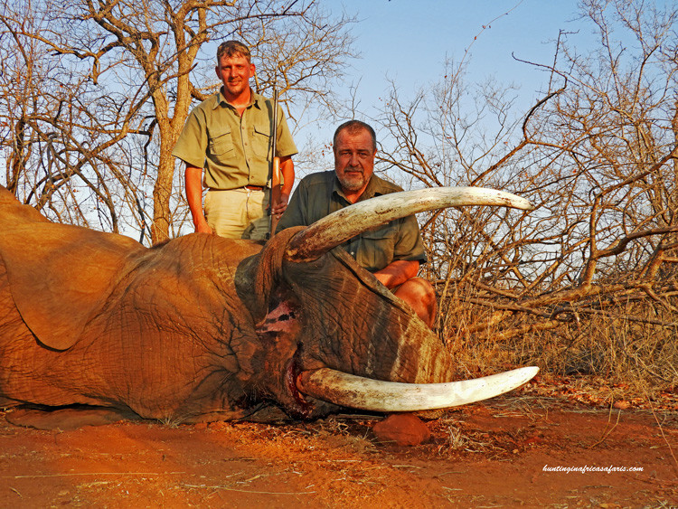 Hunting elephants in Africa