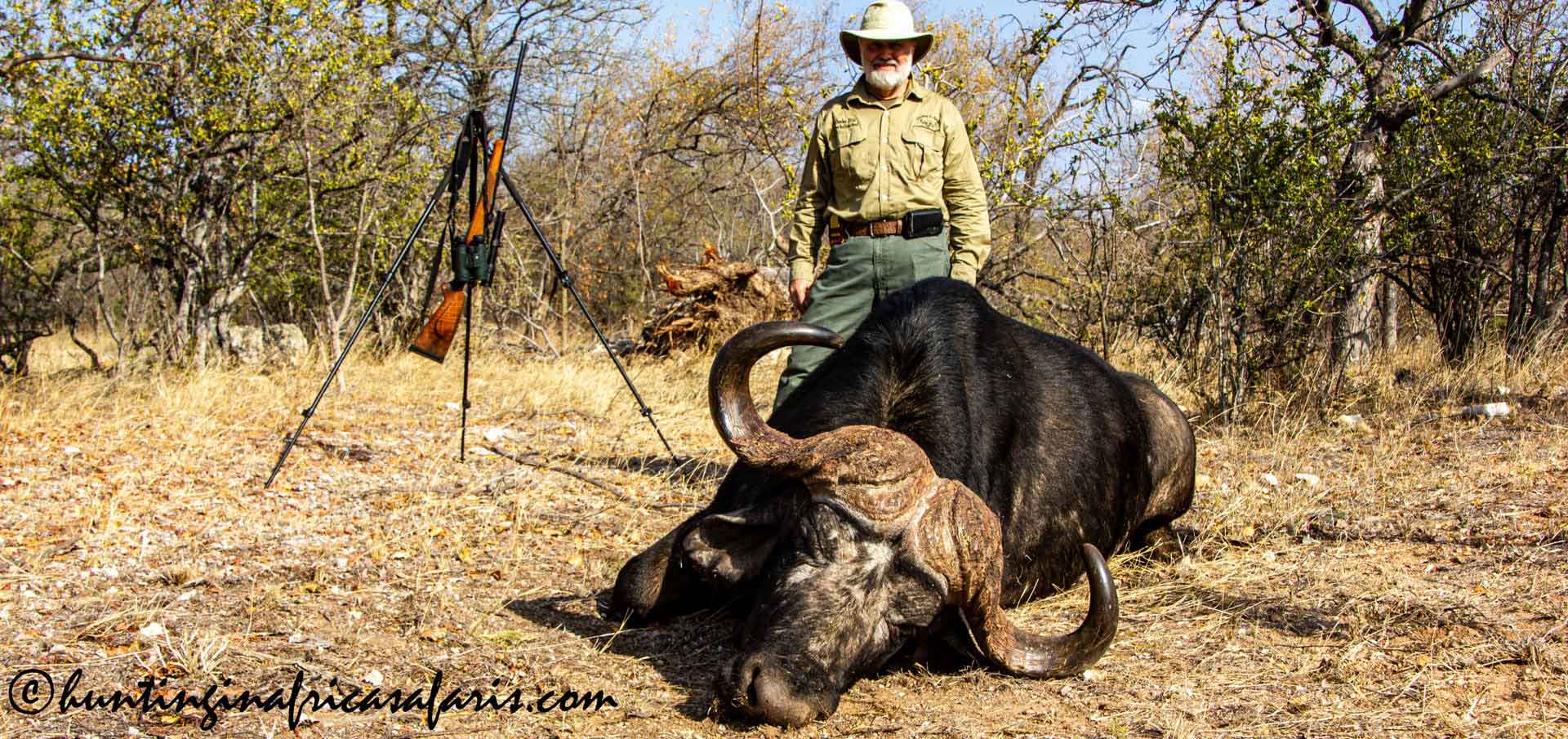 Successful Cape Buffalo bull trophy hunt with a client; the hunter stands behind the downed Dugga Boy next to his .375 H&H BRNO rifle on a tripod, shot in the South African winter.