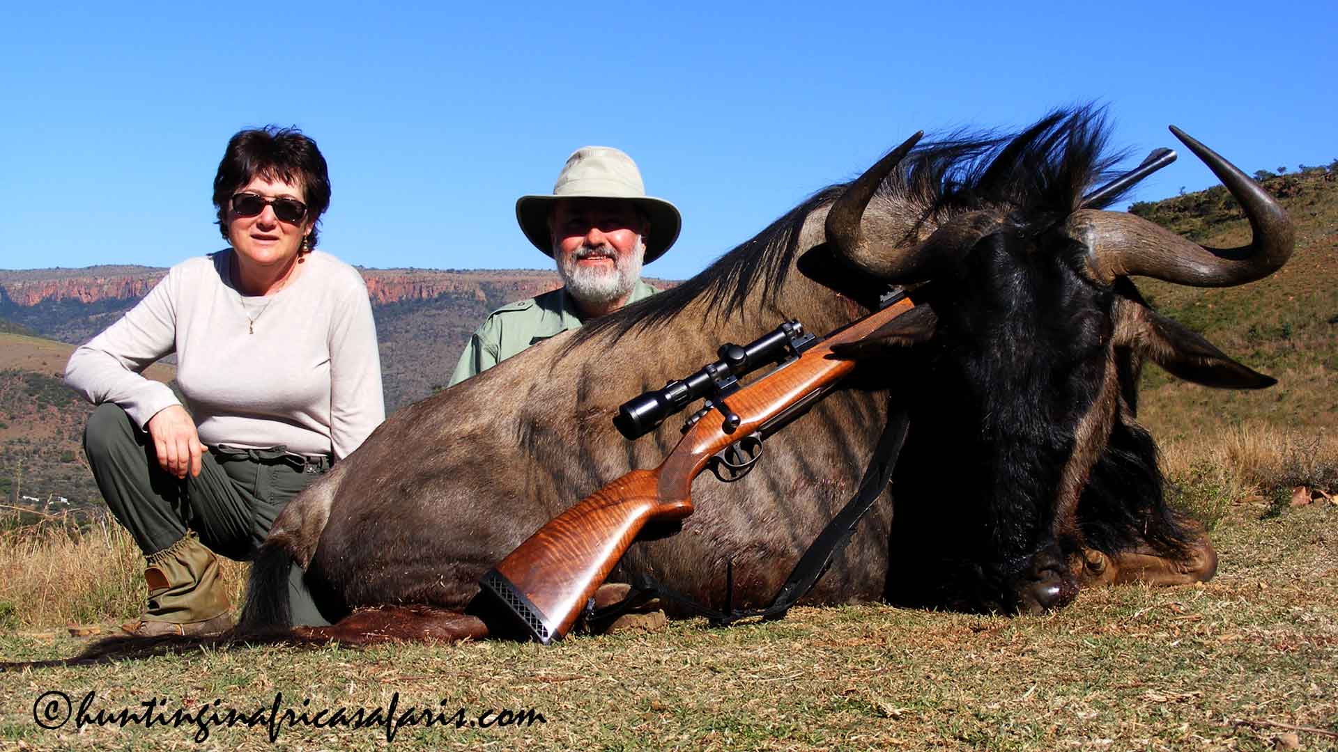 Blue wildebeest caliber recommendations and shot placement Smiling hunter and wife with a magnificent Blue Wildebeest bull (Connochaetes taurinus) trophy.