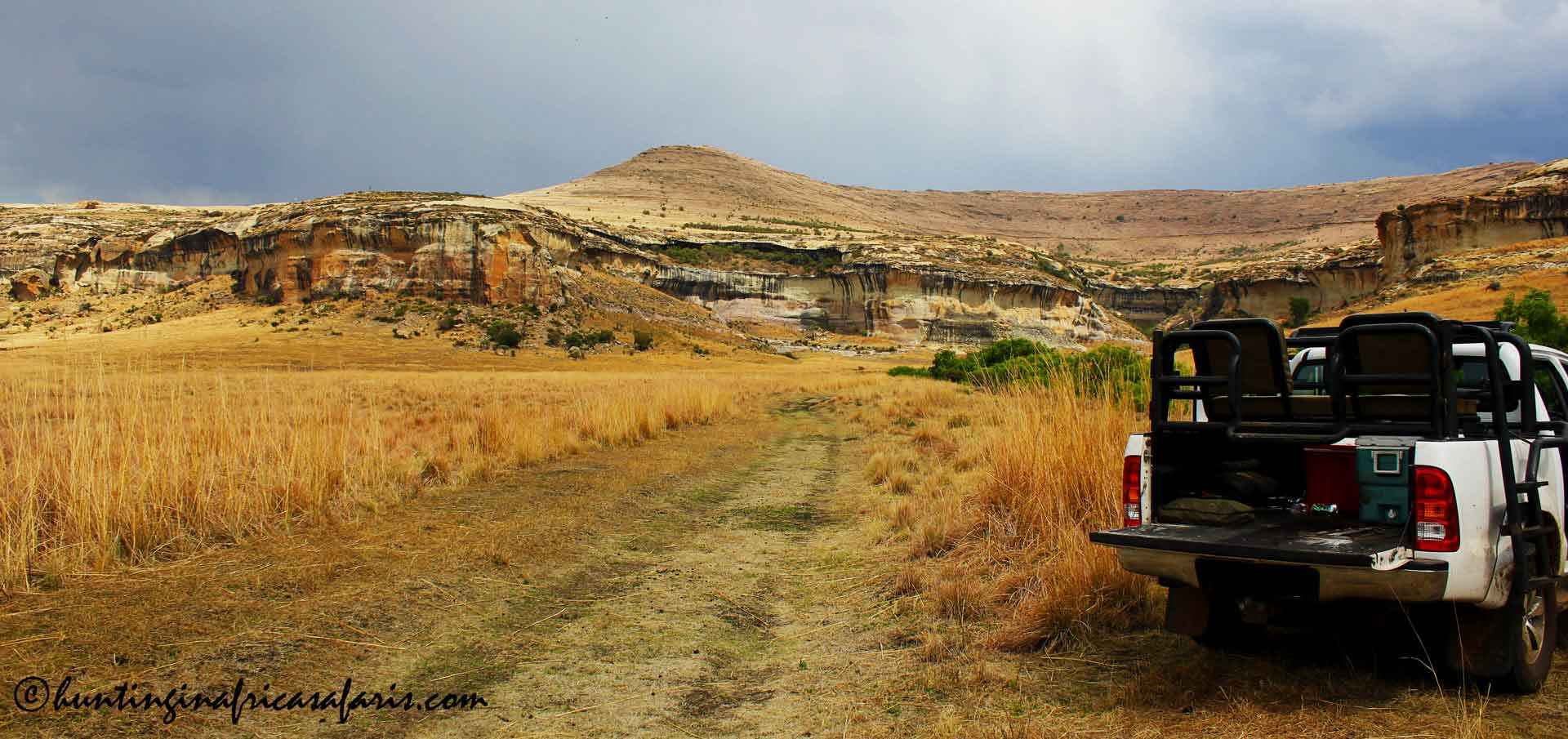 Free State hunting safaris plains and dangerous game Free State hunting safaris plains and dangerous game