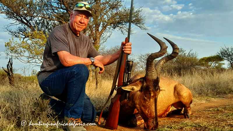 Red hartebeest hunting calibers Red hartebeest trophy with hunter showing the recommended caliber to hunt red hartebeest