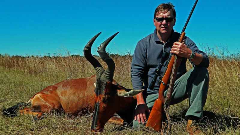 Red hartebeest hunting South Africa A successful red hartebeest hunt in South Africa, showing the trophy animal and hunter