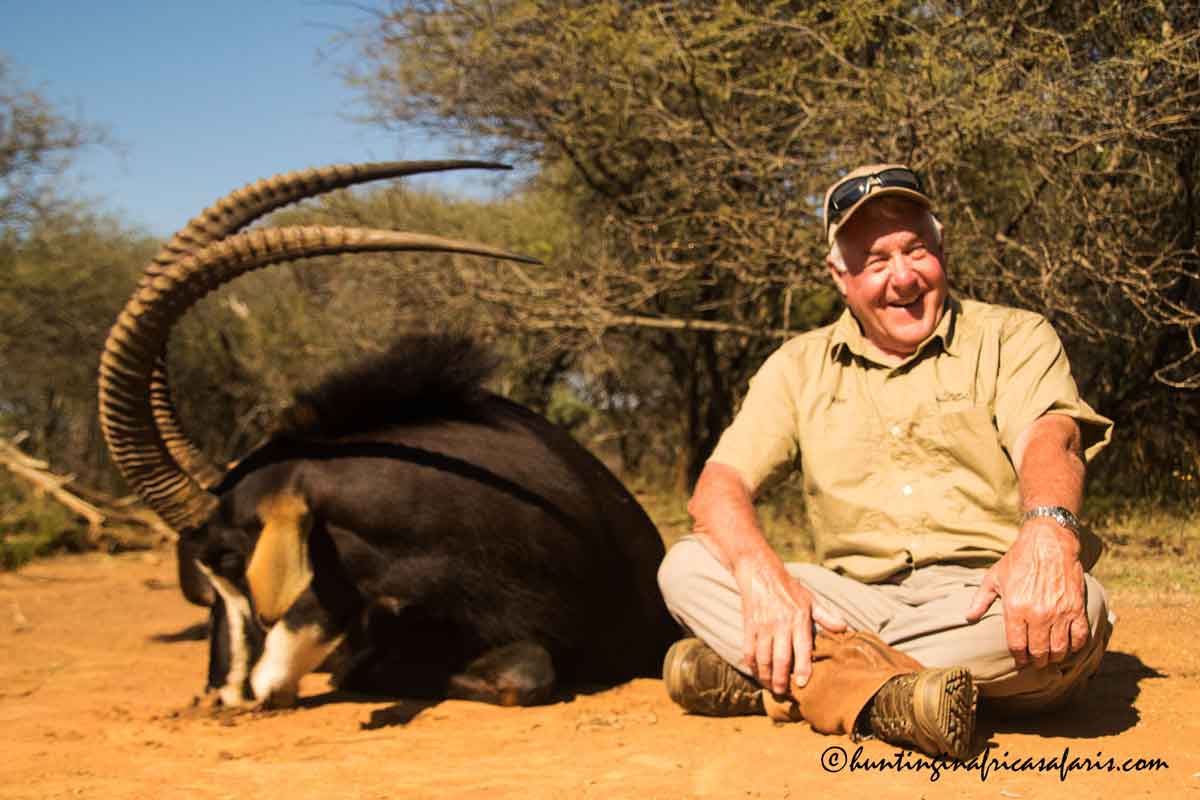Magnificent 41" trophy sable antelope bull hunted in North West Province with African Bushbuck Adventures Hunting Outfitters.