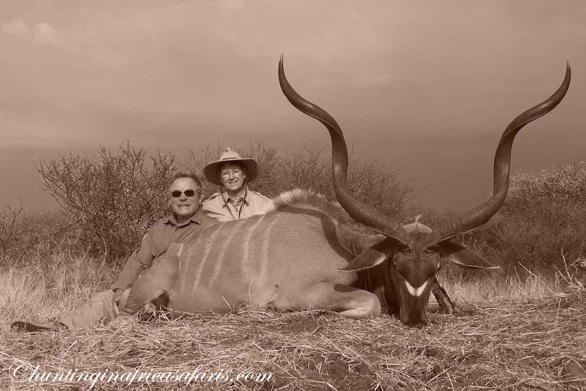 Gold medal class greater kudu trophy harvested on a fair-chase safari