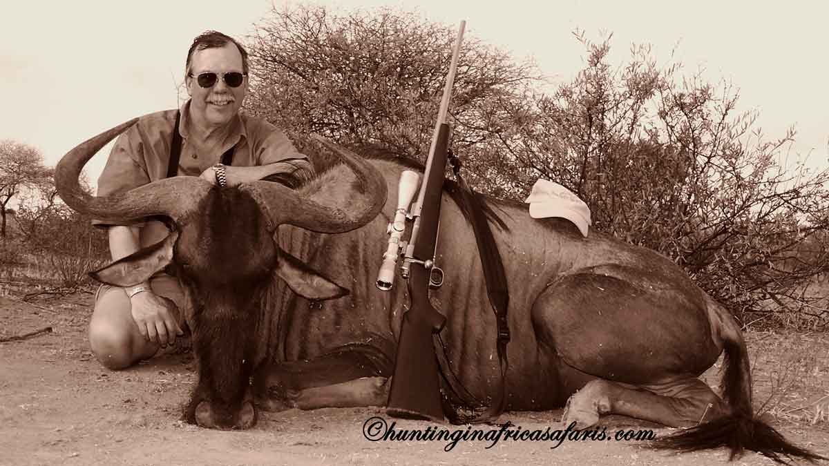International hunter showcasing a magnificent blue wildebeest trophy bull in camp