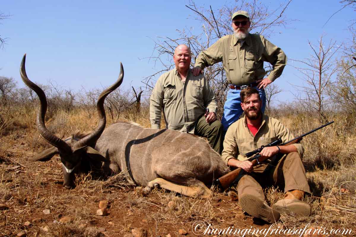 Spiral horned antelope species of South Africa including kudu nyala Cape eland and bushbuck